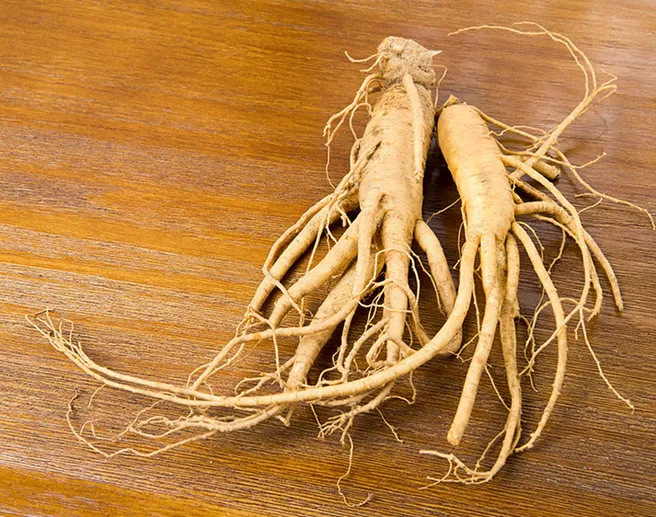Fresh ginseng root, one of the adaptogens in Eros Lift